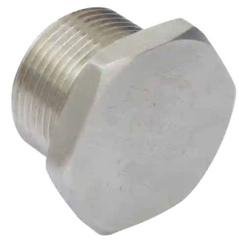 BPT Series stopping plug(Ex db IIC,Ex eb IIC)