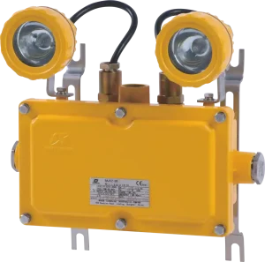 Baj52 20 Explosion Proof Emergency Light 2