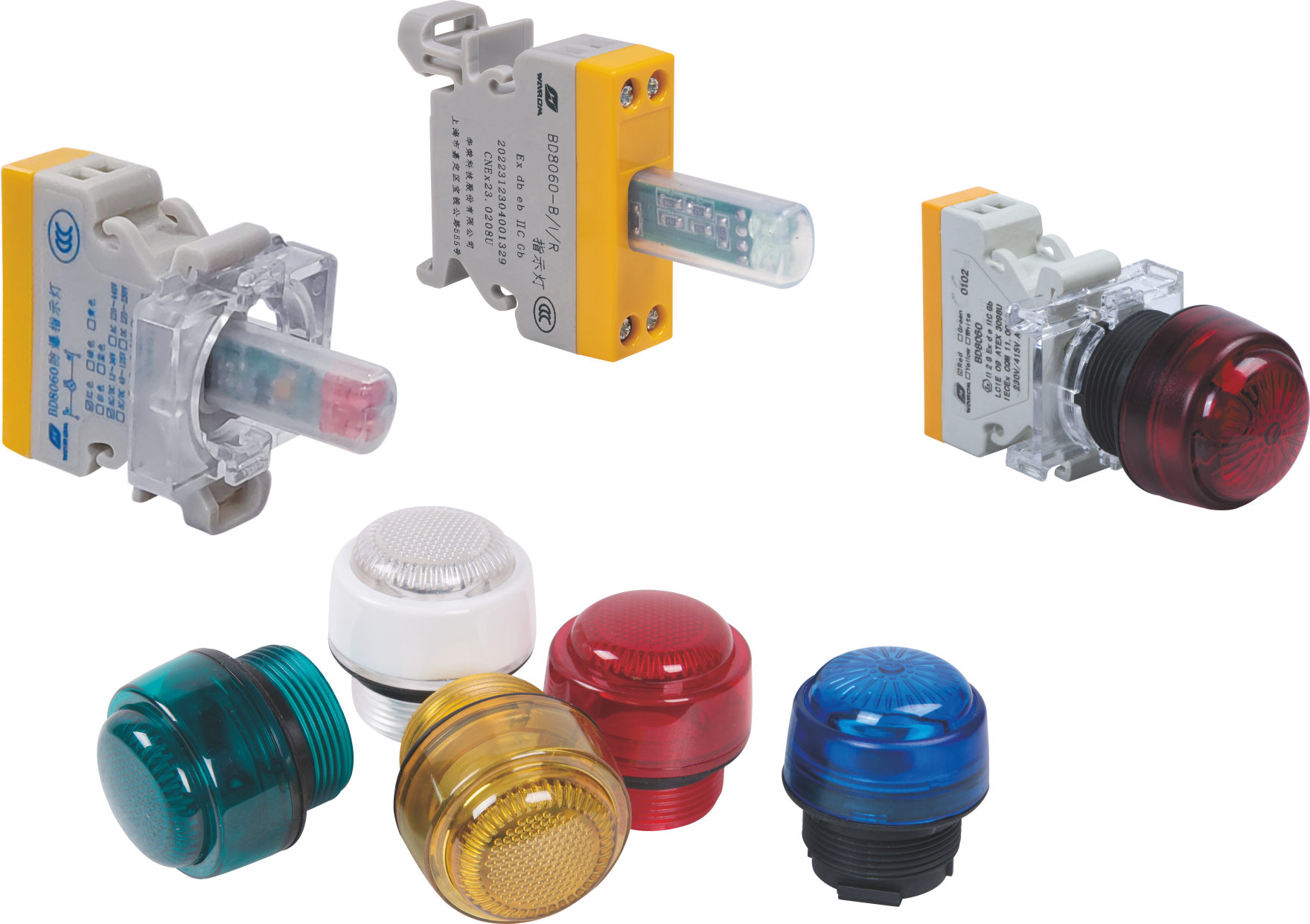 BD8060 Series Indicators