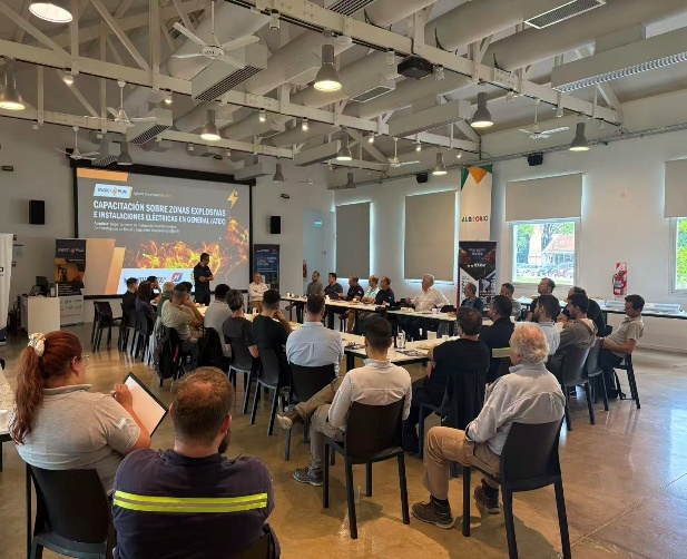 Explosion-Proof Upgrade of Grain and Oil Plant in Argentina