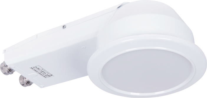 TD1 Downlight Cabin Interior Light