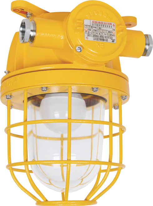 dF1 Explosion-proof Pendant Light