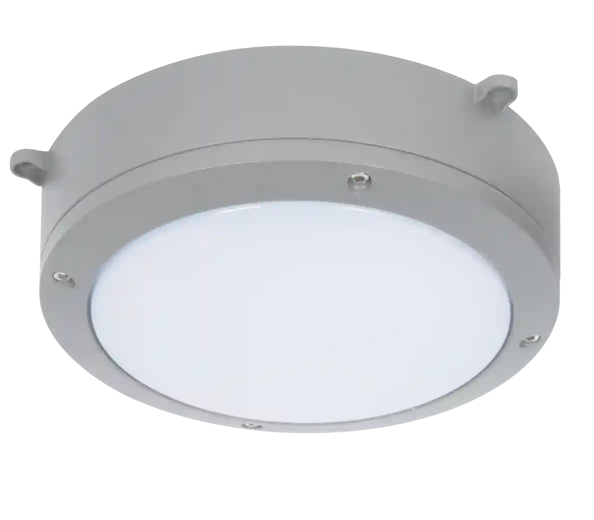 FGY-X Series Ceiling Light Fittings (LED)