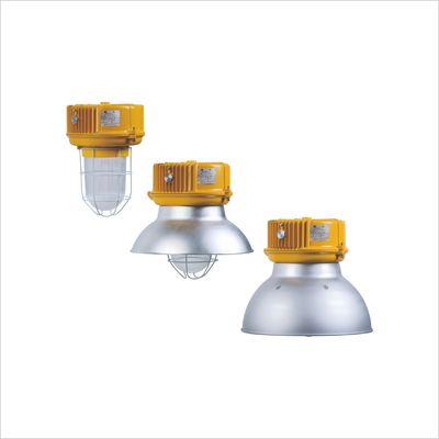 BnD81 Series Pendant Light Fittings Explosion Proof IP65 With ATEX IECEx Certification