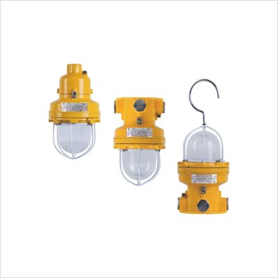 BDD81 Series Explosion Proof Led Lamp Ceiling Type Flame Proof For Zone 1 Zone 21