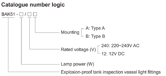 BAK51 Series Tank Inspection Vessel LED Light Fittings Explosion Proof IP66 35W 50W